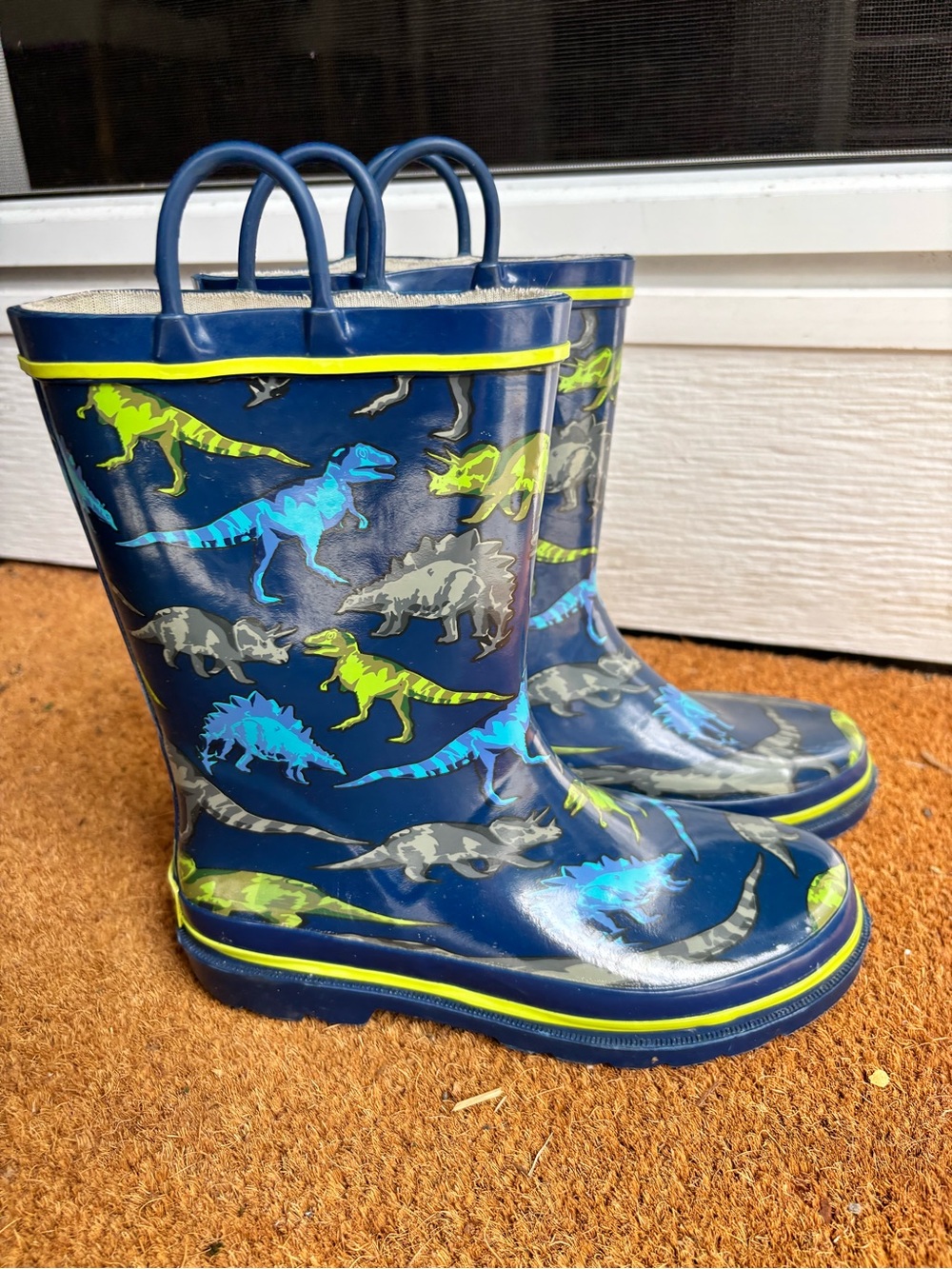 Western Chief Rainboots
